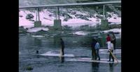 Children playing on the melting ice