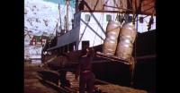 Unloading supply ship in Qaqortoq