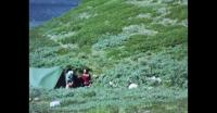 Camping in the fjords