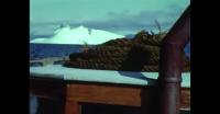 Sailing in South Greenland