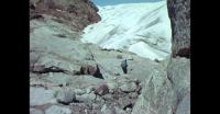 Hiking in South Greenland