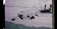 Hunting on the ice near Qaanaaq