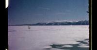 Seal hunting on the ice