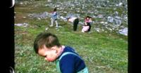 Children picking berries