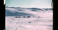 Dogsledding in Ilulissat