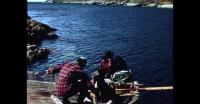 Fish drying in Southern Greenland